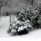 helmikuu -13 118.jpg