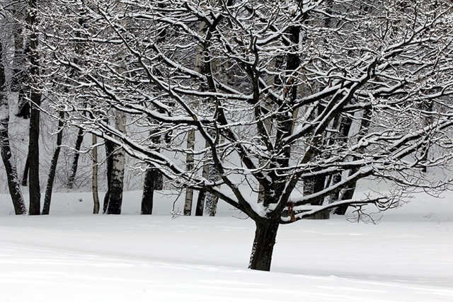 helmikuu -13 119.jpg