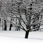 helmikuu -13 119.jpg