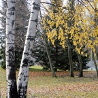 lokakuu -13 624.jpg